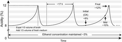 RNA-Seq transcriptomic analysis reveals gene expression profiles of acetic acid bacteria under high-acidity submerged industrial fermentation process